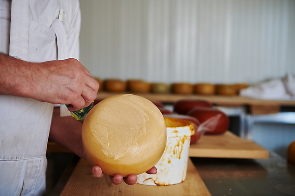 포토 JPG 해외이미지 손 노년 남자 공장 노동자 치즈 선반 작업복 한명 들기 상반신 옆모습 아웃포커스 제조 만들기 닦기 작업대 전통방식 노인남자한명만 해외포토 직업 1 전통 옷 뷰포인트 가구 공업 모션 유제품 촬영기법 사람 성인 신체부위 남자한명만 노인남자만 파일형식 이미지허브