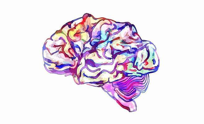 EPS 해외이미지 교육 과학 백그라운드 컨셉 생각 일러스트 해부 상상 추상 아이디어 건강 창조 미술 사람 그래픽 연필 머리 페인트 마음 스케치 심볼 뇌 그림 예술가 손그림 정신과 브레인스토밍 해외일러스트 무늬 의학 문화예술 학용품 병원 신체부위 필기구 파일형식 벡터 이미지허브