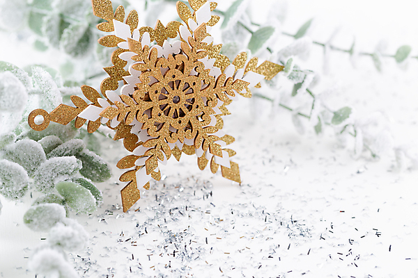 포토 JPG 해외이미지 크리스마스 크리스마스용품 눈꽃 실내 사람없음 눈송이 흰배경 눈꽃무늬 유칼립투스 해외포토 식물 기념일 백그라운드 무늬 눈_날씨 내부 흰색 용품 파일형식 이미지허브