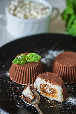 포토 JPG 해외이미지 단면 디저트 실내 사람없음 아웃포커스 초콜릿 숟가락 해외포토 음식 촬영기법 수저 내부 파일형식 이미지허브