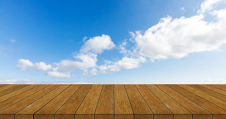 포토 JPG 해외이미지 주간 자연 하늘 사람없음 야외 맑음 나무바닥 해외포토 자연요소 날씨 바닥 생태계 파일형식 이미지허브
