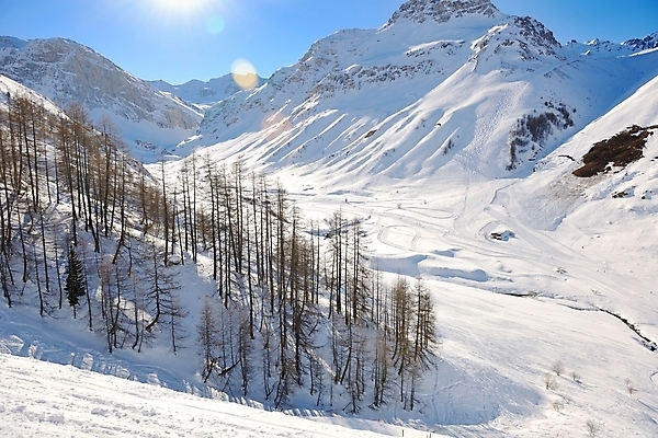 포토 JPG 해외이미지 주간 나무 겨울 사람없음 야외 설원 눈 겨울풍경 눈덮임 해외포토 자연요소 식물 계절 컨셉 날씨 눈_날씨 풍경 파일형식 이미지허브