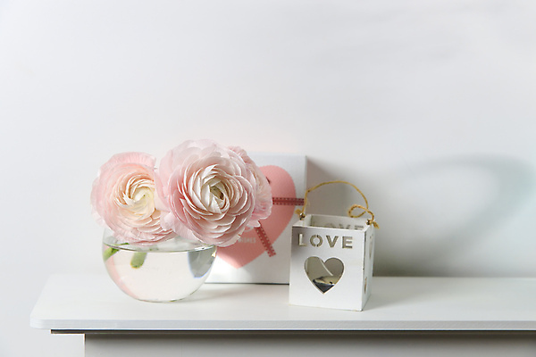 포토 JPG 해외이미지 식물 꽃잎 꽃 분홍색 꽃다발 결혼 벽지 탁자 발렌타인데이 선물 사랑 사람없음 장식 여름 빛 상자 꽃병 봄 낭만 수확 흰색 하트 축하 신선 신용카드 생일 개화 자르기 다발 배열 창백 원예사 파스텔톤 해외포토 모양 직업 계절 기념일 감정 컬러 가구 컨셉 농업 모션 데이이벤트 이벤트 금융 파일형식 이미지허브