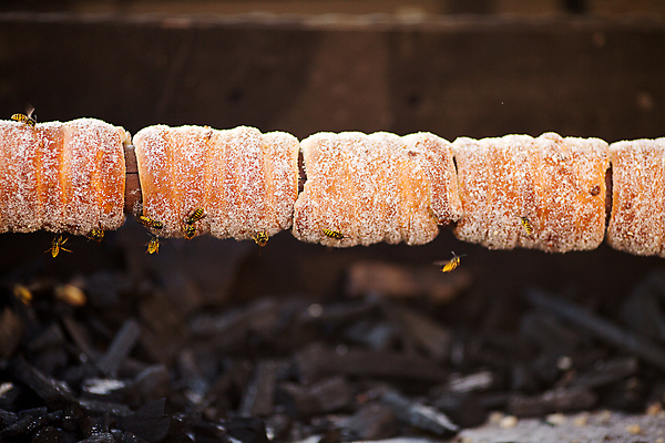 포토 JPG 해외이미지 유럽 문화 음식 백그라운드 프레임 요리 씨앗 사람없음 갈색 노란색 쌓기 쿠키 케이크 식사 빵집 원형 그룹 달콤 아침식사 말벌 설탕 벌 밀 굽기 배열 먹기 배고픔 가득함 오브젝트 속도 유기농 퍼프 슛 패티 덩어리 공평 번 많음 해외포토 도형 식물 웰빙 나라 빵 컬러 곤충 컨셉 모션 디저트 곡류 상점 맛 벌_곤충 구이 파일형식 이미지허브