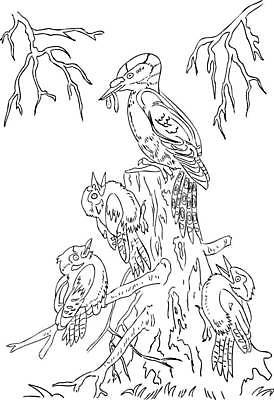 EPS 해외이미지 나무 식물 디자인 꽃 실루엣 잎 꽃무늬 패턴 일러스트 자연 미술 장식 세트 검은색 스케치 문신 그림 옛날 해외일러스트 컬러 무늬 문화예술 촬영기법 생태계 파일형식 벡터 이미지허브