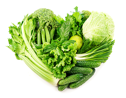 포토 JPG 해외이미지 채소 오이 콩 파슬리 사람없음 초록색 하트 상추 허브 양배추 주키니호박 해외포토 모양 식물 컬러 곡류 파일형식 이미지허브