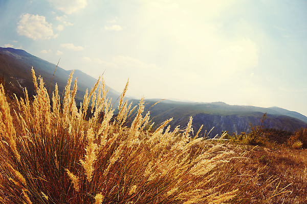 포토 JPG 해외이미지 나무 식물 구름 계절 공원 유럽 여행 백그라운드 밭 자연 하늘 아침 산 파노라마 풍경 초원 사람없음 야외 초록색 여름 파란색 빛 햇빛 태양 일출 환경 맑음 일몰 봄 전원 시골 신선 숲 땅 언덕 각도 장면 내추럴 어안 평야 해외포토 주간 자연요소 공공시설 나라 컬러 농업 날씨 촬영기법 노을 전기에너지 생태계 파일형식 이미지허브