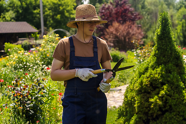 포토 JPG 해외이미지 식물 직업 모자 라이프스타일 손 계절 남자 농업 노동자 한명 미소 사람 취미 야외 초록색 농장 금속 정원 장비 수확 성장 공구 시골 업무 바늘 농부 자르기 원예 손질 전나무 밀짚 다듬기 온실 원예사 향나무 해외포토 나무 1 잡화 산업 컬러 모션 재질 표정 생활 신체부위 도구 작업 짚 파일형식 이미지허브