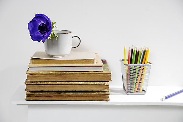 포토 JPG 해외이미지 식물 디자인 교육 꽃잎 꽃 종이 줄기 백그라운드 꽃무늬 탁자 주택 사람없음 장식 책 컵 초록색 연필 일본 꽃병 봄 활발 수확 벚꽃 흰색 신선 신용카드 개화 꽃집 온라인쇼핑 양귀비 아네모네 스타일 해외포토 식기 계절 아시아 컬러 가구 컨셉 무늬 농업 학용품 건물 금융 쇼핑 필기구 상점 온라인 파일형식 이미지허브