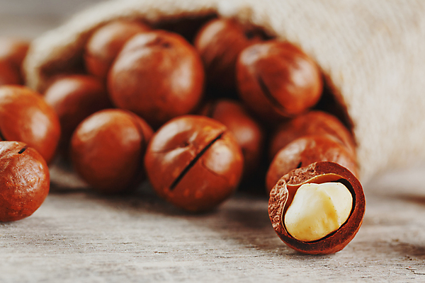 포토 JPG 해외이미지 단면 근접촬영 사람없음 아웃포커스 껍질 쏟아짐 포대자루 마카다미아 나무배경 해외포토 뷰포인트 백그라운드 모션 촬영기법 견과류 자루 파일형식 이미지허브