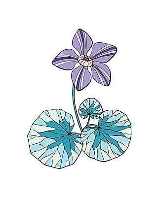 EPS 해외이미지 식물 손 계절 꽃 선 줄기 잎 꽃무늬 일러스트 자연 미술 장식 물 파란색 세트 검은색 봄 들꽃 수확 벚꽃 흰색 신선 개화 습지 약초 낙서 스케치 허브 제비꽃 그림 윤곽 내추럴 고립 해외일러스트 자연요소 컬러 무늬 농업 문화예술 신체부위 풀_식물 생태계 파일형식 벡터 이미지허브