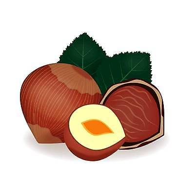 EPS 해외이미지 전통 실루엣 음식 패턴 일러스트 건강 미술 씨앗 사람없음 그래픽 농작물 세트 갈색 3D 라벨 견과류 수확 껍질 흰색 그룹 상품 밤 컨테이너 스케치 수집 대나무 그림 복고 알맹이 도토리 판화 비타민 건강식 고립 꼬투리 엘리먼트 진짜 헤이즐넛 현실 비건 해외일러스트 나무 식물 산업 컬러 무늬 농업 문화예술 프레임 촬영기법 디지털합성 영양소 채식주의자 파일형식 벡터 이미지허브