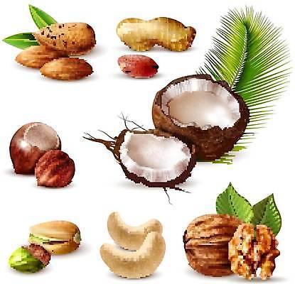 EPS 해외이미지 모양 식물 디자인 음식 컨셉 잎 농업 다이어트 과일 일러스트 건조 건강 씨앗 장식 초록색 농작물 세트 갈색 3D 견과류 수확 껍질 수집 먹기 오브젝트 날것 땅콩 호두 코코넛 아몬드 비타민 내추럴 개암나무 고립 단백질 숙성 채식주의자 캐슈넛 피스타치오 개암 현실 해외일러스트 나무 열매 산업 컬러 모션 디지털합성 채식 영양소 파일형식 벡터 이미지허브