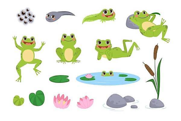 EPS 해외이미지 일러스트 사람없음 세트 귀여움 연못 개구리캐릭터 올챙이 올챙이알 해외일러스트 동물캐릭터 컨셉 개구리 알 파일형식 벡터 이미지허브