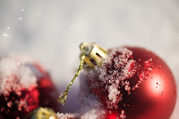 포토 JPG 해외이미지 주간 크리스마스 크리스마스용품 근접촬영 사람없음 야외 아웃포커스 눈 오너먼트 해외포토 자연요소 기념일 뷰포인트 크리스마스장식 날씨 촬영기법 용품 파일형식 이미지허브