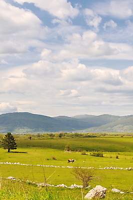 포토 JPG 해외이미지 주간 자연 하늘 사람없음 야외 맑음 봄 해외포토 자연요소 계절 날씨 생태계 파일형식 이미지허브