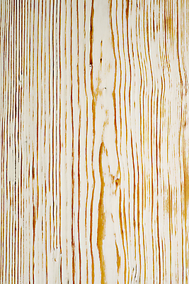 포토 JPG 해외이미지 나무 줄 벽 백그라운드 크리스마스 패턴 자연 탁자 표면 추상 바닥 프레임 사람없음 목재 장식 빛 꼬리표 라벨 다정 페인트 공백 회색 수확 흰색 시골 소나무 그리기 끝 널 낟알 질감 섬유 그런지 수목 옛날 세련 해외포토 식물 기념일 컬러 가구 컨셉 무늬 농업 재료 모션 직물 생태계 파일형식 이미지허브