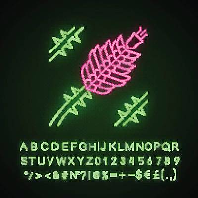 EPS 해외이미지 식물 디자인 알파벳 꽃 분홍색 꽃무늬 일러스트 자연 멕시코 선인장 타이포그라피 그래픽 장식 초록색 빛 숫자 사막 막대기 가시 편지 관목 심볼 오브젝트 사인 네온 캘리포니아 애리조나 빛망울 내추럴 고립 광 엘리먼트 이국적 해외일러스트 나무 문자 영어 컬러 북아메리카 무늬 미국 생태계 파일형식 벡터 아메리카 대륙 이미지허브