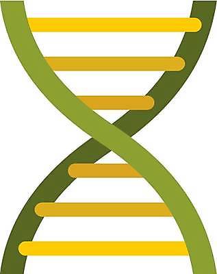 EPS 해외이미지 모델 줄기 과학 신체 일러스트 자연 생물 세포 나선형 건강 사람 초록색 약 정보 플랫 암호 DNA 생명공학 연결 심볼 생물학 원자 염색체 조제 고립 더블 바이오 복제 유전 해외일러스트 식물 교육 컬러 무늬 의학 생태계 만들기 파일형식 벡터 이미지허브