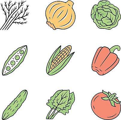 EPS 해외이미지 토마토 일러스트 양파 피망 오이 파프리카 옥수수 요리 사람없음 배추 완두콩 시금치 엘리먼트 해외일러스트 채소 콩 곡류 파일형식 벡터 이미지허브
