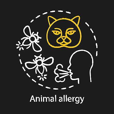 EPS 해외이미지 실루엣 일러스트 사람없음 고양이 얼굴모양 알레르기 해외일러스트 모양 얼굴 포유류 촬영기법 반려동물 질병 파일형식 벡터 이미지허브