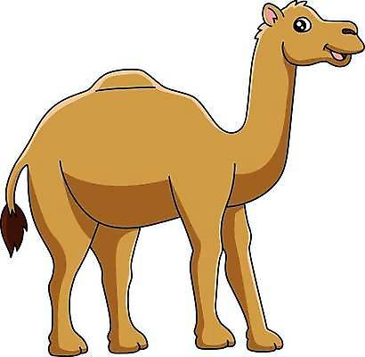 EPS 해외이미지 클립아트 동물 캐릭터 디자인 야생동물 어린이 모래 여행 백그라운드 일러스트 아프리카 자연 동물원 이집트 미술 서기 그래픽 책 컬러풀 사막 낙서 만화 사파리 그림 클립 윤곽 낙타 손그림 페이지 혹 걸음마 고립 단봉낙타 해외일러스트 일러캐릭터 나라 컬러 포유류 모션 문화예술 사람 생태계 파일형식 벡터 이미지허브