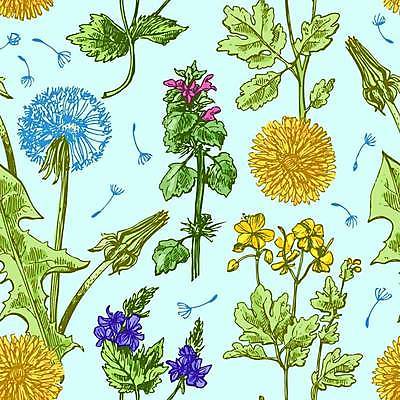 EPS 해외이미지 모양 식물 디자인 꽃 실루엣 백그라운드 잎 꽃무늬 패턴 일러스트 자연 벽지 추상 프레임 미술 그래픽 장식 정원 봄 낭만 수확 흰색 신용카드 화려 민들레 스케치 그림 복고 초대 손그림 엘리먼트 스타일 해외일러스트 계절 컬러 컨셉 무늬 농업 문화예술 촬영기법 금융 생태계 파일형식 벡터 이미지허브