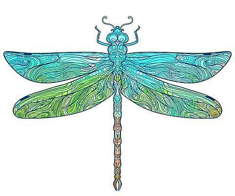 EPS 해외이미지 동물 손 디자인 실루엣 야생동물 곤충 백그라운드 무지개 티셔츠 패턴 날개 일러스트 자연 벽지 추상 미술 그래픽 장식 활발 수확 잠자리 낙서 인쇄 스케치 인도인 수집 문신 그림 클립 부족 고립 스타일 해외일러스트 자연요소 외국인 컨셉 셔츠 무늬 농업 문화예술 촬영기법 동양인 신체부위 생태계 파일형식 벡터 이미지허브