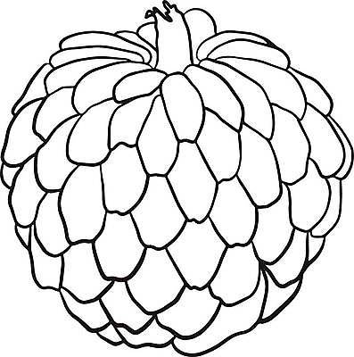 EPS 해외이미지 식물 음식 잎 농업 과일 일러스트 자연 디저트 건강 씨앗 세트 정원 수확 신선 달콤 사과 설탕 스케치 수집 메뉴 유기농 손그림 비타민 내추럴 이국적 채식주의자 현실 맛있는 해외일러스트 웰빙 산업 미술 맛 생태계 채식 영양소 파일형식 벡터 이미지허브