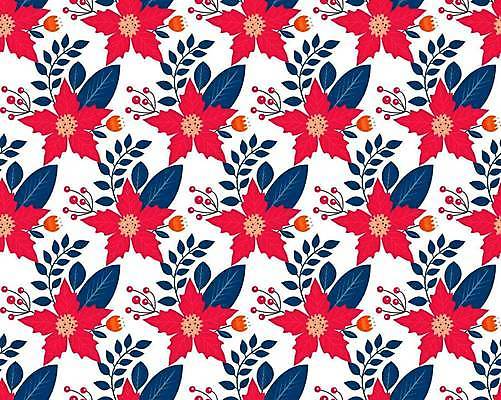 EPS 해외이미지 열매 꽃 백그라운드 잎 크리스마스 패턴 일러스트 사람없음 빨간색 포인세티아 보테니컬아트 해외일러스트 식물 기념일 컬러 무늬 파일형식 벡터 이미지허브