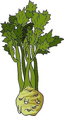 EPS 해외이미지 식물 손 디자인 배너 선 음식 백그라운드 농업 채소 일러스트 재료 자연 표시 추상 건강 요리 미술 그래픽 장식 초록색 세트 농장 주방 정원 샐러드 신선 시장 낙서 인쇄 스케치 허브 오브젝트 메뉴 그림 유기농 양배추 힙스터 비건 국경 해외일러스트 웰빙 패션 산업 컬러 무늬 문화예술 신체부위 생태계 채식주의자 파일형식 벡터 이미지허브