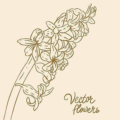 EPS 해외이미지 식물 손 디자인 꽃잎 꽃 실루엣 종이 백그라운드 꽃무늬 패턴 일러스트 자연 잉크 미술 그래픽 장식 연필 펜 정원 수확 벚꽃 나뭇가지 우아함 스케치 심볼 싱글 그림 복고 판화 고립 바로크 엘리먼트 옛날 타격 디테일 해외일러스트 나무 컨셉 무늬 농업 모션 문화예술 학용품 촬영기법 신체부위 필기구 생태계 파일형식 벡터 이미지허브