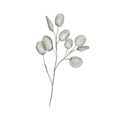 EPS 해외이미지 일러스트 나뭇잎 사람없음 나뭇가지 유칼립투스 해외일러스트 나무 식물 잎 파일형식 벡터 이미지허브