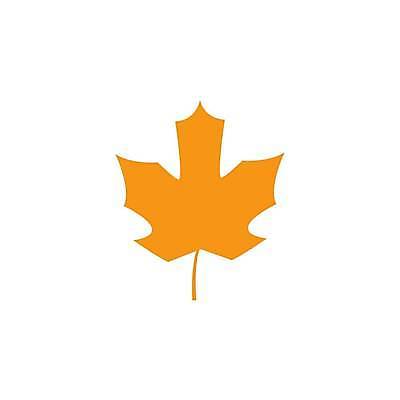 EPS 해외이미지 단풍 낙엽 잎 일러스트 사람없음 엘리먼트 해외일러스트 식물 파일형식 벡터 이미지허브