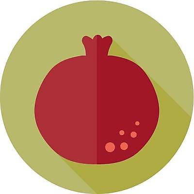 EPS 해외이미지 디자인 음식 다이어트 과일 일러스트 자연 건강 주스 신선 플랫 달콤 먹기 심볼 사인 유기농 석류 비타민 내추럴 가넷 고립 숙성 채식주의자 맛있는 해외일러스트 웰빙 음료 모션 맛 보석 생태계 채식 영양소 파일형식 벡터 이미지허브