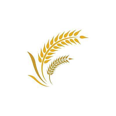 EPS 해외이미지 식물 디자인 배너 음식 빵 백그라운드 농업 다이어트 일러스트 자연 밥 건조 건강 옥수수 씨앗 농작물 농장 노란색 라벨 수확 성장 신선 시장 황금 상품 낟알 시리얼 밀 먹기 심볼 사인 유기농 보리 밀가루 스파이크 내추럴 고립 밭일 엘리먼트 귀리 해외일러스트 웰빙 산업 컬러 모션 곡류 프레임 가루 생태계 파일형식 벡터 이미지허브