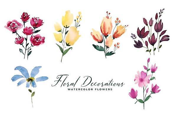 EPS 해외이미지 꽃 일러스트 사람없음 장식 세트 다양 엘리먼트 해외일러스트 식물 다수 파일형식 벡터 이미지허브