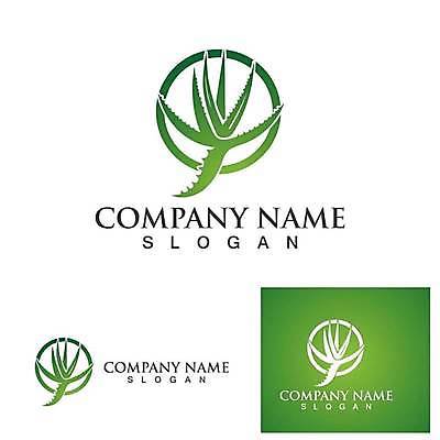 EPS 해외이미지 디자인 잎 일러스트 사람없음 초록색 화장품 심볼 유기농 알로에 알로에베라 해외일러스트 식물 웰빙 컬러 뷰티 파일형식 벡터 이미지허브