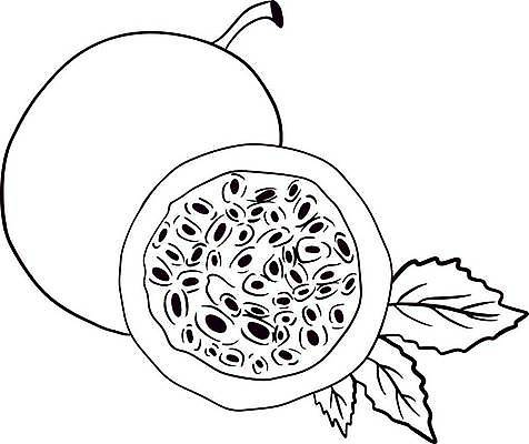 EPS 해외이미지 식물 라이프스타일 음식 조각 잎 과일 일러스트 재료 자연 디저트 건강 세트 라벨 보라색 수확 나뭇가지 신선 달콤 맛 스케치 자르기 수집 먹기 메뉴 그림 유기농 열정 손그림 고립 숙성 이국적 채식주의자 디테일 비건 해외일러스트 나무 웰빙 감정 컬러 컨셉 농업 모션 프레임 미술 생활 생태계 채식 파일형식 벡터 이미지허브