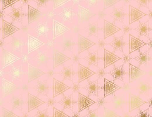 EPS 해외이미지 디자인 종이 분홍색 백그라운드 패턴 일러스트 벽지 추상 미술 동양인 그래픽 장식 빛 컬러풀 금속 디지털 수확 얼룩 황금 고급 삼각형 인쇄 질감 날카로움 캔버스 육각형 기하학 대칭 엘리먼트 포장소품 스타일 반복 효과 규칙적 해외일러스트 도형 컬러 컨셉 무늬 농업 포장 재질 문화예술 인종 오브젝트 포장재료 파일형식 벡터 이미지허브