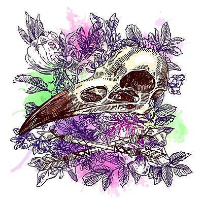 EPS 해외이미지 동물 손 디자인 야생동물 과학 백그라운드 일러스트 해부 자연 조류 염소 수채화 화살 골격 동물원 미술 그래픽 장식 머리 검은색 수확 시골 죽음 주식 위험 스케치 문신 깃털 묘사 그림 복고 사냥 양고기 감탄 고립 서쪽 옛날 텍사스 해골모형 생존 스타일 현실 해외일러스트 컬러 컨셉 농업 포유류 의학 문화예술 육류 신체부위 금융 모형 미국 방향 생태계 파일형식 벡터 이미지허브