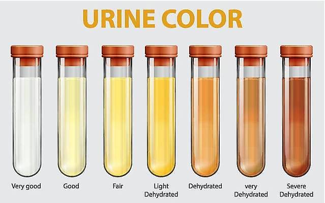 EPS 해외이미지 클립아트 교육 과학 일러스트 건강 실험 사람 그래픽 빛 학습 컬러풀 어둠 인포그래픽 정보 무대 액체 비교 만화 시험관 그림 리빙 해로움 탈수 해외일러스트 컬러 컨셉 실험기구 파일형식 벡터 이미지허브