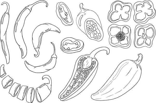EPS 해외이미지 음식 백그라운드 채소 일러스트 재료 고추 건강 요리 미술 그래픽 빨간색 초록색 세트 우주 추위 흰색 뜨거움 그룹 맛 심볼 향신료 오브젝트 사인 그림 유기농 매움 날카로움 향료 후추 칠레 내추럴 고립 숙성 채식주의자 해외일러스트 웰빙 컬러 컨셉 문화예술 남아메리카 채식 향기 냄새 향미료 파일형식 벡터 이미지허브