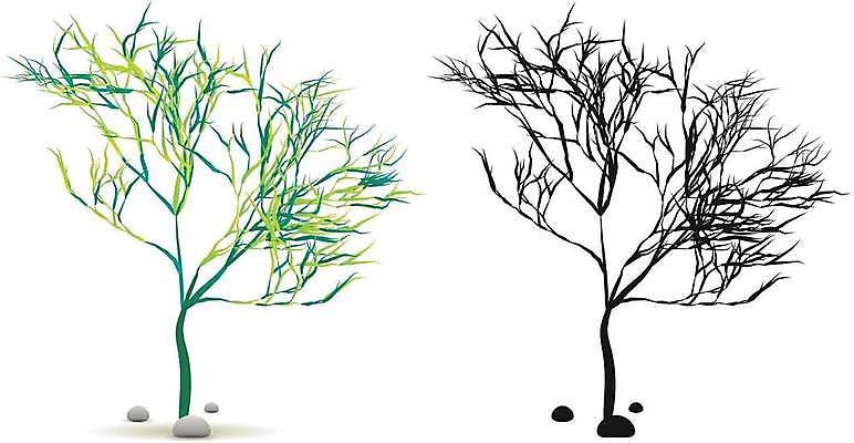 EPS 해외이미지 식물 계절 호수 바다 잎 일러스트 자연 바닥 장식 초록색 여름 강 세트 검은색 바닷속 수중 봄 활발 성장 바위 흰색 신선 부채 해조류 산호 만화 수집 그림 에코 다이빙 생물학 암초 수족관 내추럴 고립 바이오 해외일러스트 교육 컬러 컨셉 환경 수영 돌_바위 해양식물 자포동물 생태계 수중스포츠 파일형식 벡터 이미지허브