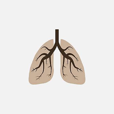 EPS 해외이미지 모양 나무 디자인 과학 백그라운드 신체 일러스트 해부 건강 미술 사람 내부 그래픽 약 웹 원형 혈액 오르간 호흡기관 플랫 호흡 질병 심볼 사인 생물학 고립 궤 돌봄 해외일러스트 도형 식물 교육 인터넷 의학 모션 문화예술 장기_의학 건반악기 파일형식 벡터 이미지허브