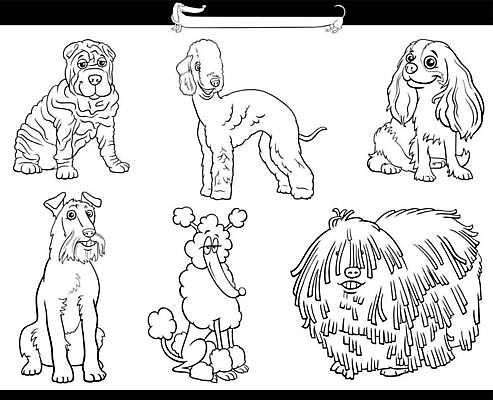EPS 해외이미지 클립아트 동물 캐릭터 행복 일러스트 그래픽 책 반려동물 세트 검은색 스패니얼 흰색 유머 양치기 개 강아지 만화 테리어 그림 꼬리 페이지 아일랜드 솜털 기르기 마스코트 색칠공부 유래 해외일러스트 일러캐릭터 직업 감정 유럽 컬러 포유류 학습 색칠 돌봄 파일형식 벡터 이미지허브