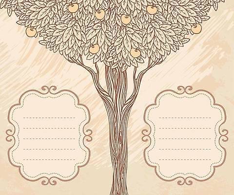 EPS 해외이미지 나무 템플릿 디자인 배너 계절 백그라운드 잎 일러스트 텍스트 가족 자연 프레임 미술 야외 목재 장식 여름 갈색 파티 라벨 봄 수확 성장 축하 신용카드 생일 화려 사과 인쇄 심볼 그림 에코 질감 복고 클립 엽서 초대 배지 그런지 엘리먼트 옛날 스타일 해외일러스트 식물 기념일 컬러 컨셉 농업 과일 재료 관계 문화예술 이벤트 금융 환경 편지 생태계 파일형식 벡터 이미지허브