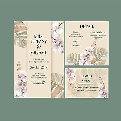 EPS 해외이미지 꽃 일러스트 사람없음 분위기 청첩장 손그림 감성 몬스테라 베이지색 해외일러스트 식물 컬러 컨셉 카드_감사 파일형식 벡터 이미지허브