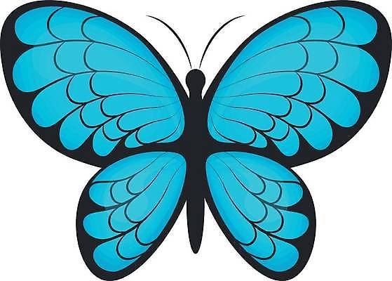 EPS 해외이미지 동물 디자인 나비 곤충 결혼 백그라운드 패턴 날개 오렌지 일러스트 자연 추상 선물 미술 그래픽 장식 여름 파란색 빛 세트 컬러풀 노란색 검은색 봄 흰색 축하 벌레 수집 심볼 오브젝트 그림 초대 나방 내추럴 고립 스타일 현실 해외일러스트 계절 컬러 컨셉 무늬 과일 문화예술 이벤트 생태계 파일형식 벡터 이미지허브