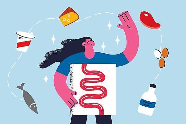 EPS 해외이미지 여자 종이 음료 일러스트 치즈 건강 육류 어류 한명 들기 상반신 성인 손들기 계란 소장 건강식 식습관 컵라면 성인여자한명만 해외일러스트 1 음식 식재료 모션 유제품 사람 알 수중동물 라면 장기_의학 여자한명만 성인여자만 파일형식 벡터 이미지허브